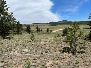 2834 Ranch Rd, Hartsel, CO 80449