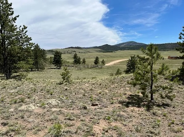 2834 Ranch Rd, Hartsel, CO 80449