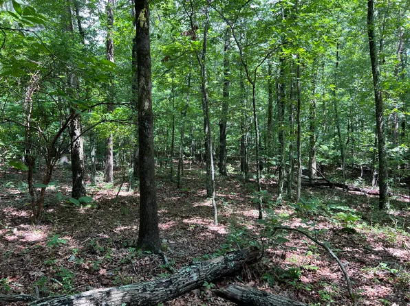 0 Miller Dr #4, Rising Fawn, GA 30738