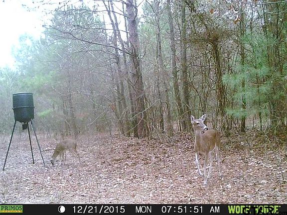 3rd image of 000-0 SW County Road 3514