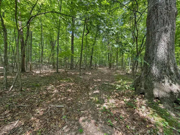 0 Old Tram Rd, Blue Ridge, VA 24064