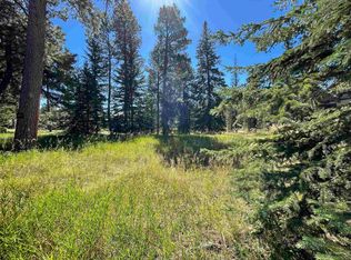 LOT 21 W Woodland Springs Rd, Lead, SD 57754