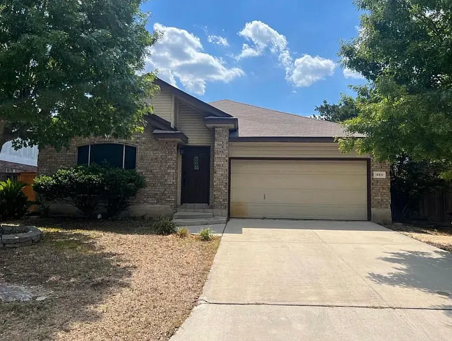 14211 Spotted Cedar #4