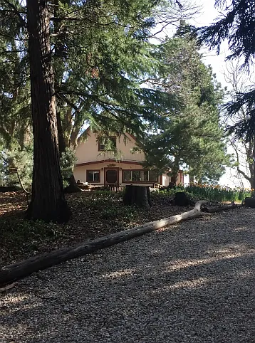 Great View Dr — Photo 6