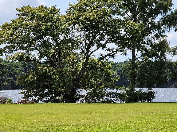 3rd image of 421 Pointe Vista Dr