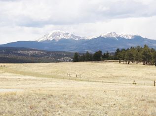 804 Hayhook Way #241, Hartsel, CO 80449