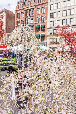 Rented by Milford Management | media 4