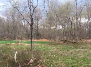 White Roe Lake Rd, Livingston Manor, NY 12758