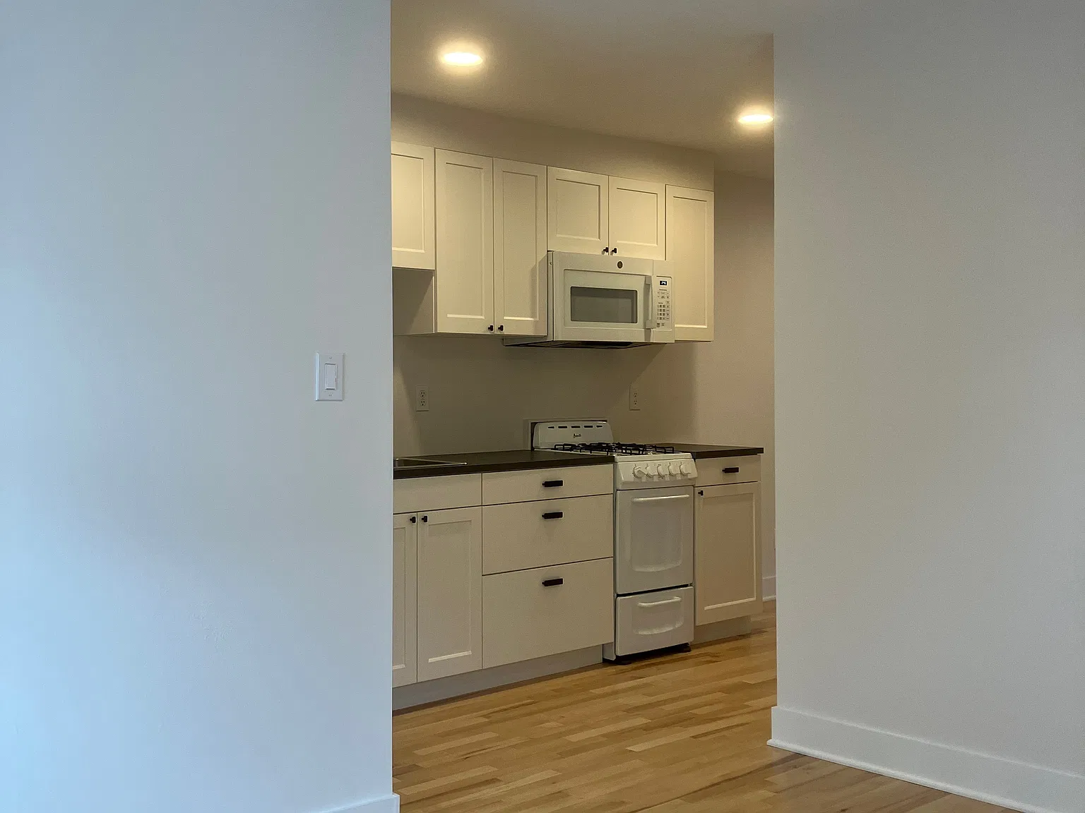 1 bed, 500 sqft, $1,500 — Photo 4