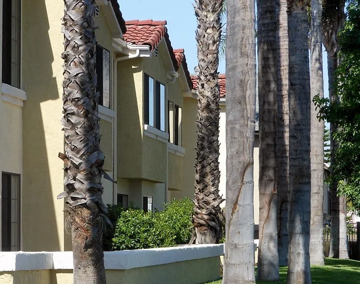 Los Olivos Apartments — Photo 44