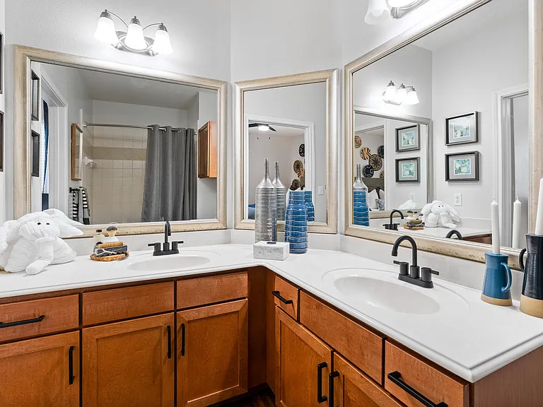 Bathroom Double Sinks
