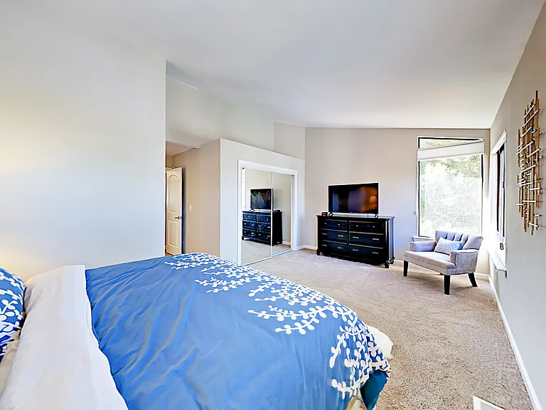 Primary Bedroom with king size bed.