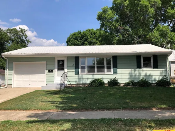 240 S 2nd St, Lyons, NE 68038