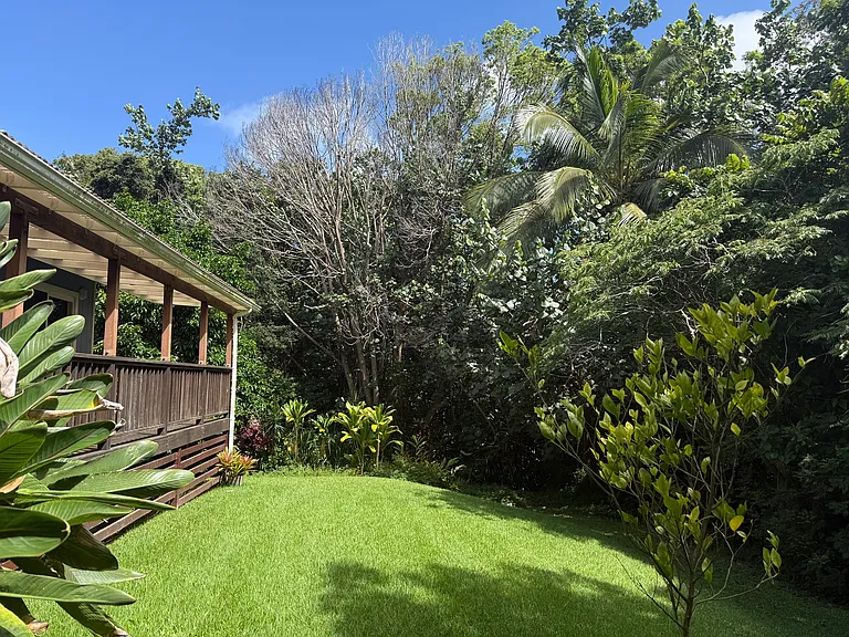 Backyard for tenant to enjoy