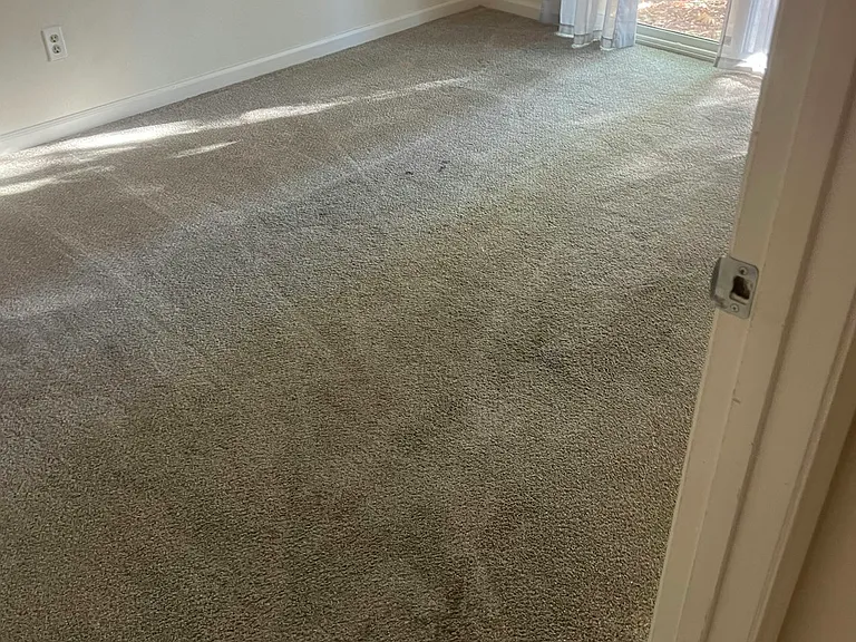 3437 Viking Dr — Photo 11