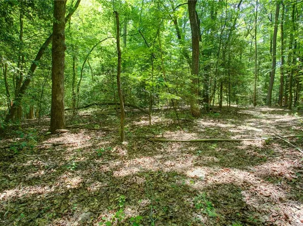 0 Highway 136 E #A & B, Dawsonville, GA 30534