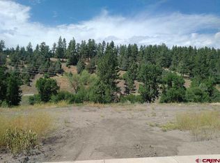 65 Spring Creek Village Pl, Durango, CO 81301