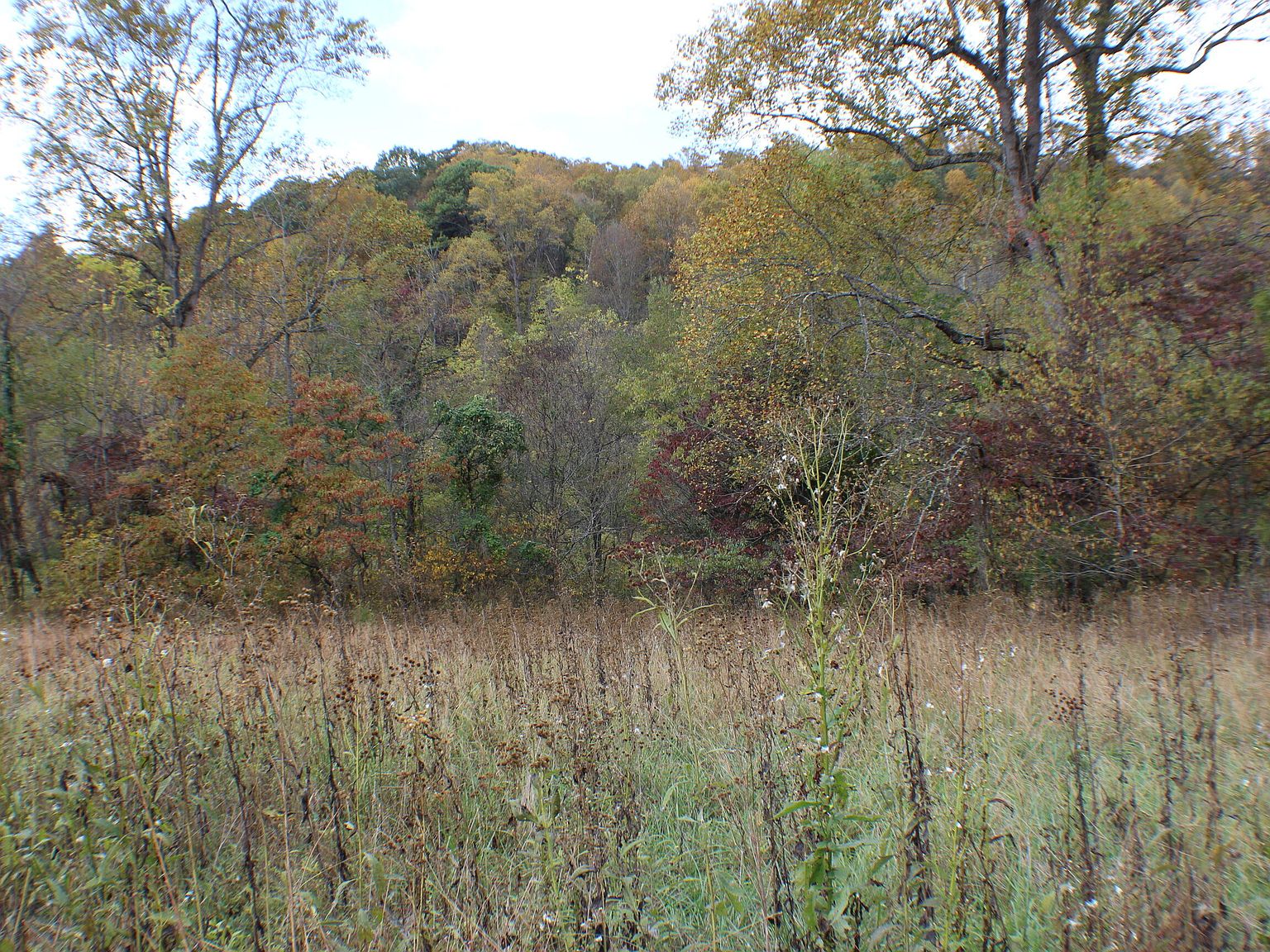 1074 Egypt Rd, Bluff City, TN 37618 Zillow