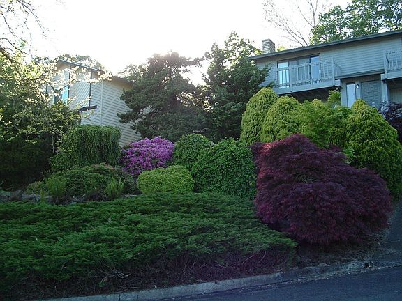 view of front yard from street