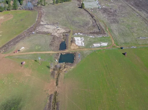 2131 White Schoolhouse Rd, Cave Junction, OR 97523