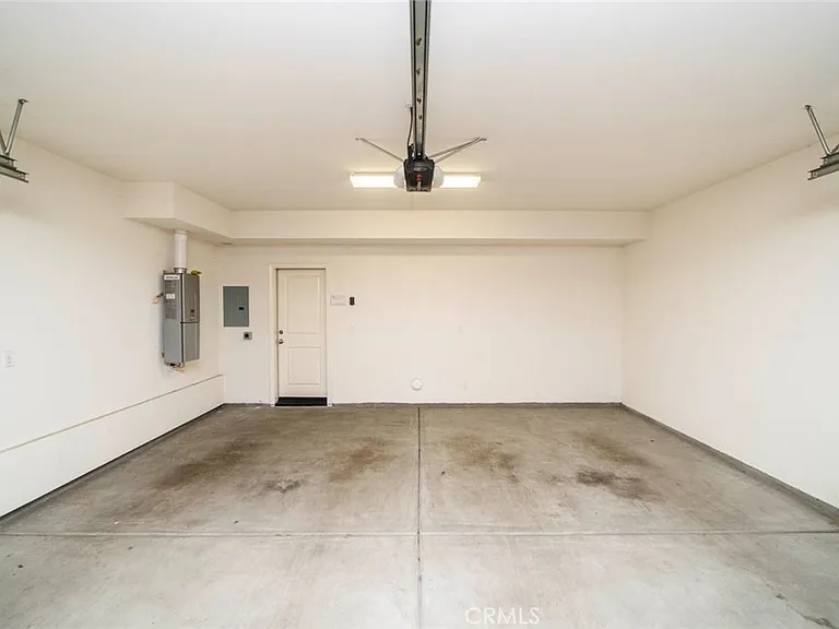 33 Bromeliad — Photo 30