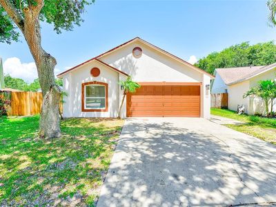 6203 Calamari Pl, Riverview, FL, 33578