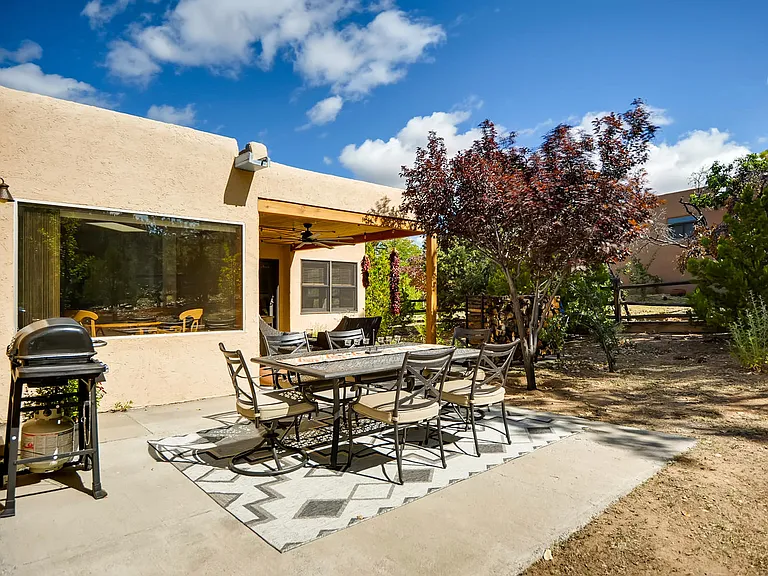 Outdoor dining and Gas Grill