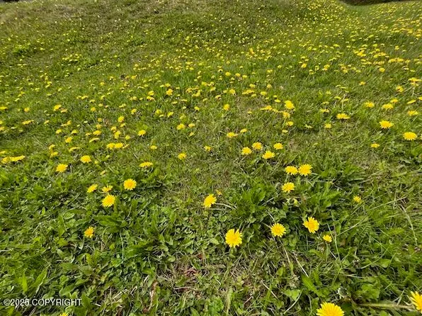 24044 Dolly Ave #E-3, Chugiak, AK 99567