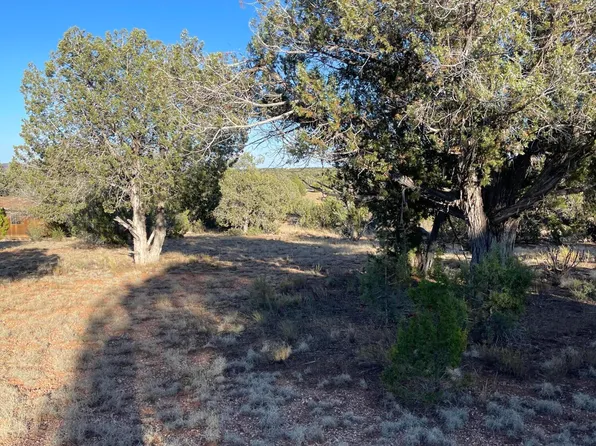 34587 W Avenida Risco, Seligman, AZ 86337