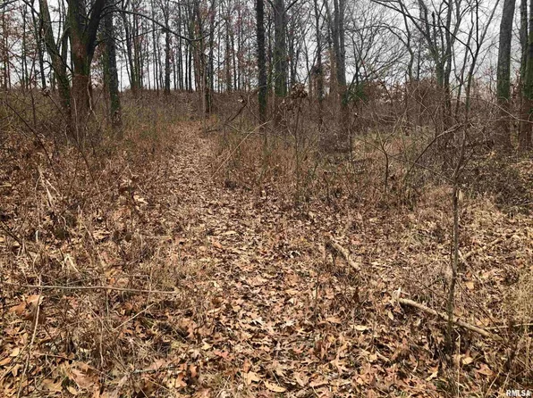 0 Palmetto Dr, Xenia, IL 62899