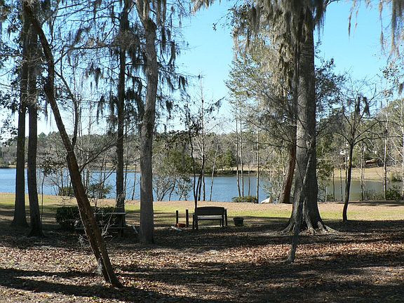 Back Yard Park Setting