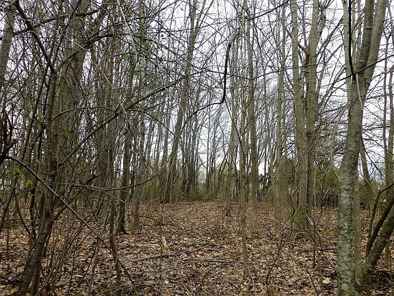 3rd image of 700 & 702 Cieri Dr