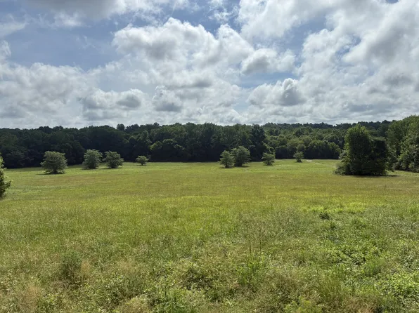 8033 Roberson Cemetery Rd, Iron City, TN 38463