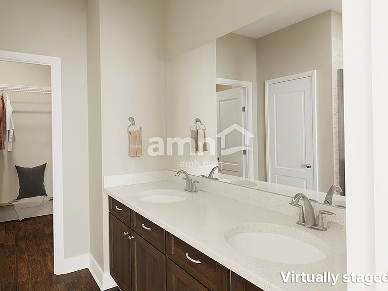 1367 Celery Palm Cv — Photo 18