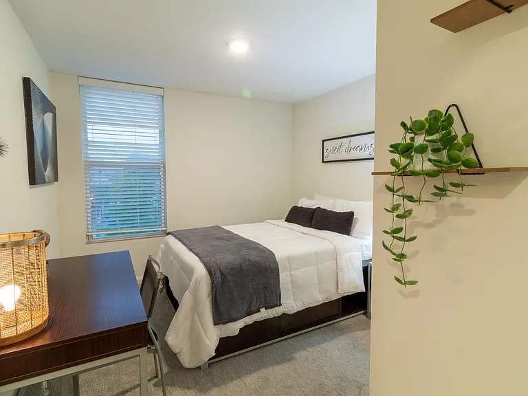 The King Apartments — Photo 8