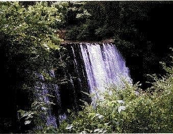 Miles of hiking and walking trails