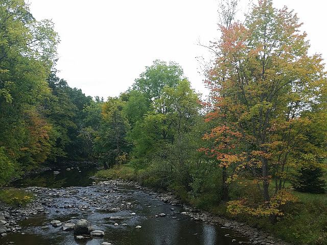 1/4 mile+ of stream frontage