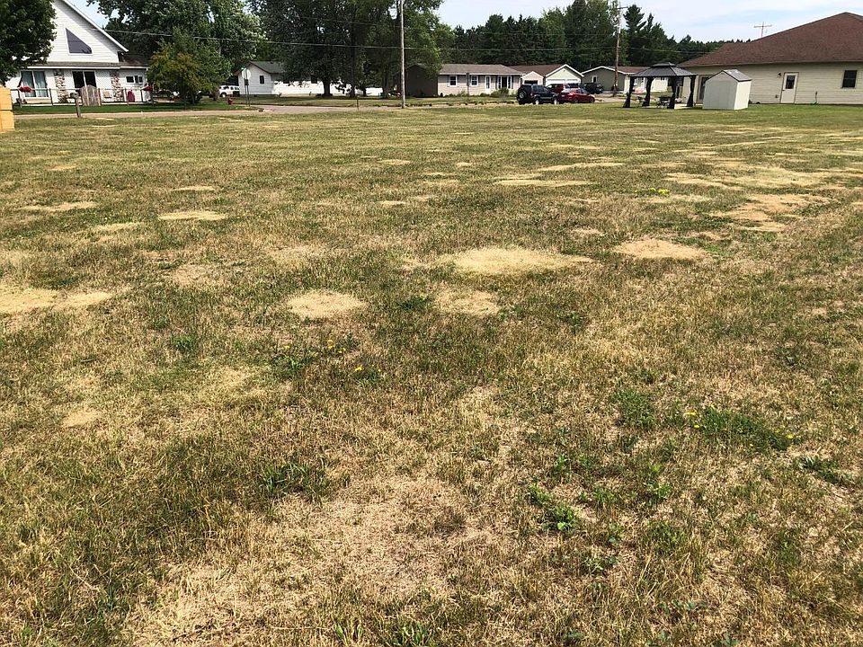 2nd image of LOT 4 Eugene St