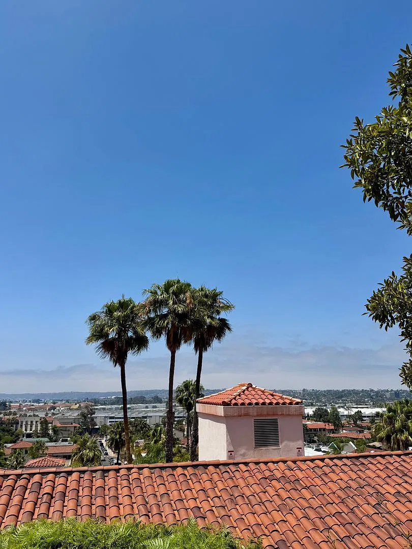 2445 Juan Street — Photo 3
