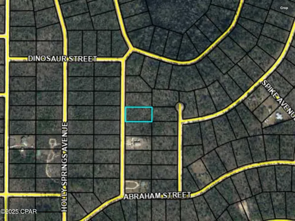 0 Chattahoochee Ave, Alford, FL 32420