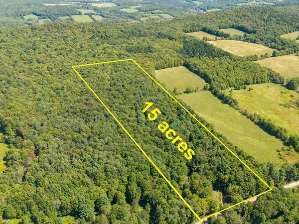 3 Warren Rd, Delhi, NY 13753