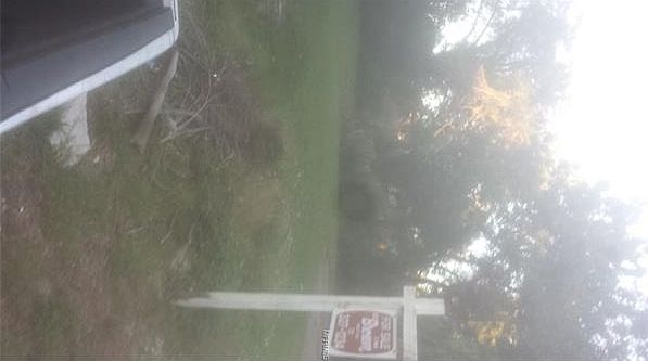 1st image of 3515 19th Ave S