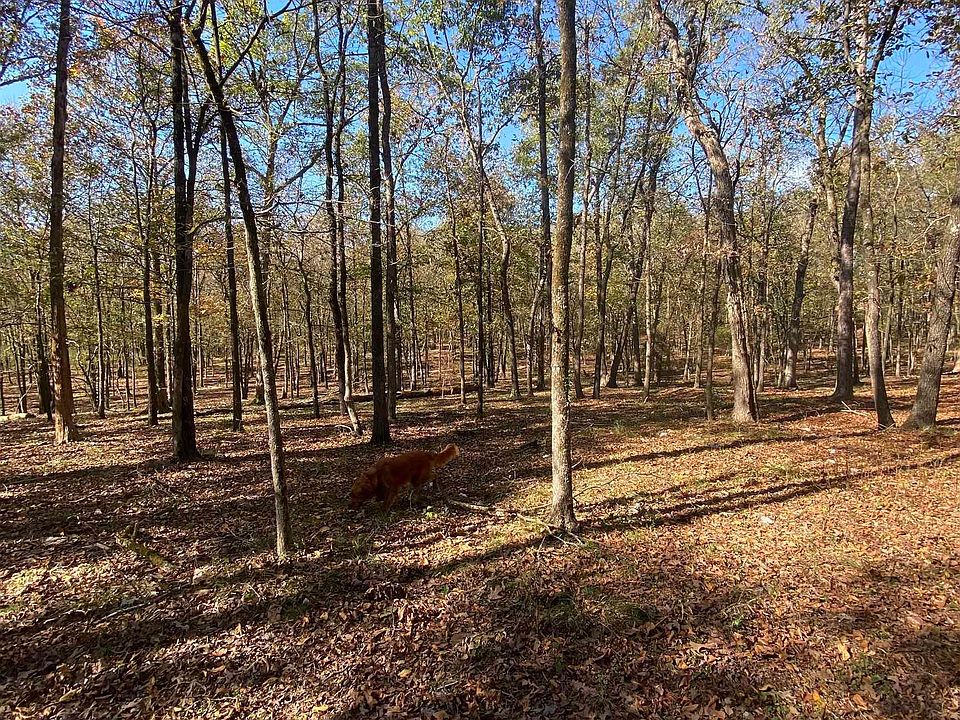 2nd image of LOT 3 Grizzly Rd
