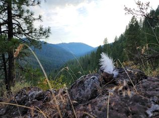 LOT 42 Hillman Basin Rd, New Meadows, ID 83654