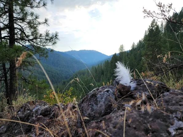 LOT 42 Hillman Basin Rd, New Meadows, ID 83654