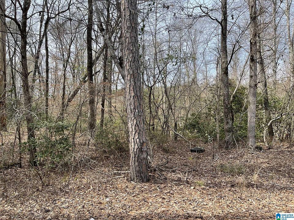 2nd image of 0 Rock House Rd #1