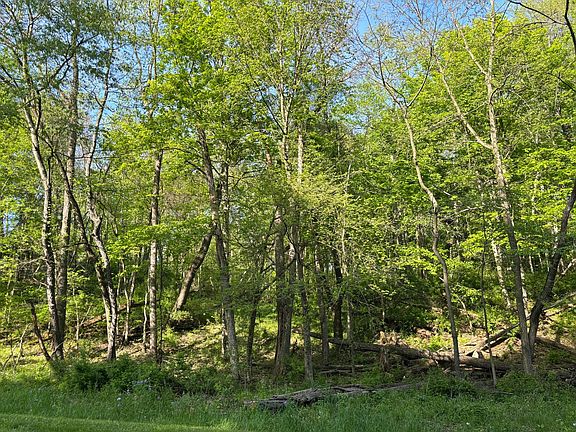 5th image of 0 Floral Valley E #106