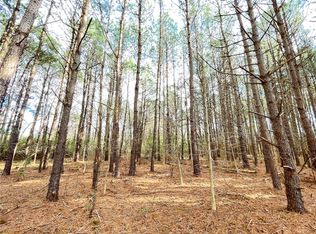 0 New Bridge Rd, Mc Coll, SC 29570