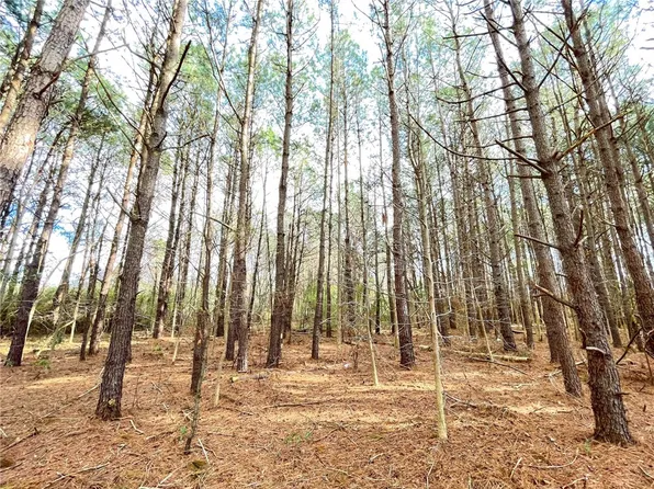 0 New Bridge Rd, Mc Coll, SC 29570