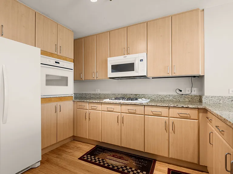1515 S Prairie Ave #705 — Photo 7